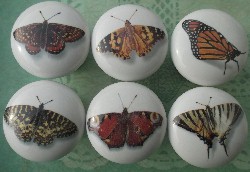 Cabinet Knob Butterflys butterflies