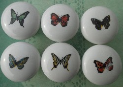 Cabinet Knob Butterflys butterflies