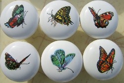 Cabinet Knob Butterflys butterflies