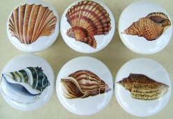 cabinet knob seashell sea shell available at mariansceramics.com