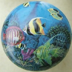 cabinet knob tropical fish available at mariansceramics.com