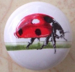 Cabinet Knob lady bug