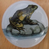 CERAMIC CABINET KNOB KNOBS FROG TOAD available at mariansceramics.com