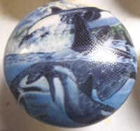 CERAMIC CABINET KNOB SALT WATER  FISH ORCA WHALE WILLIE available at mariansceramics.com