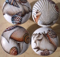 CERAMIC CABINET KNOBS  SEA SHELLS SEASHELLS SHELL available at mariansceramics.com