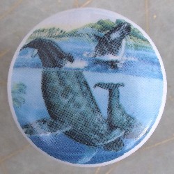 Ceramic cabinet knob whale sperm orca available at mariansceramics.com