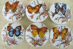 Cabinet Knob Butterflys butterflies