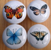 Cabinet Knob 4 Instar Butterfly