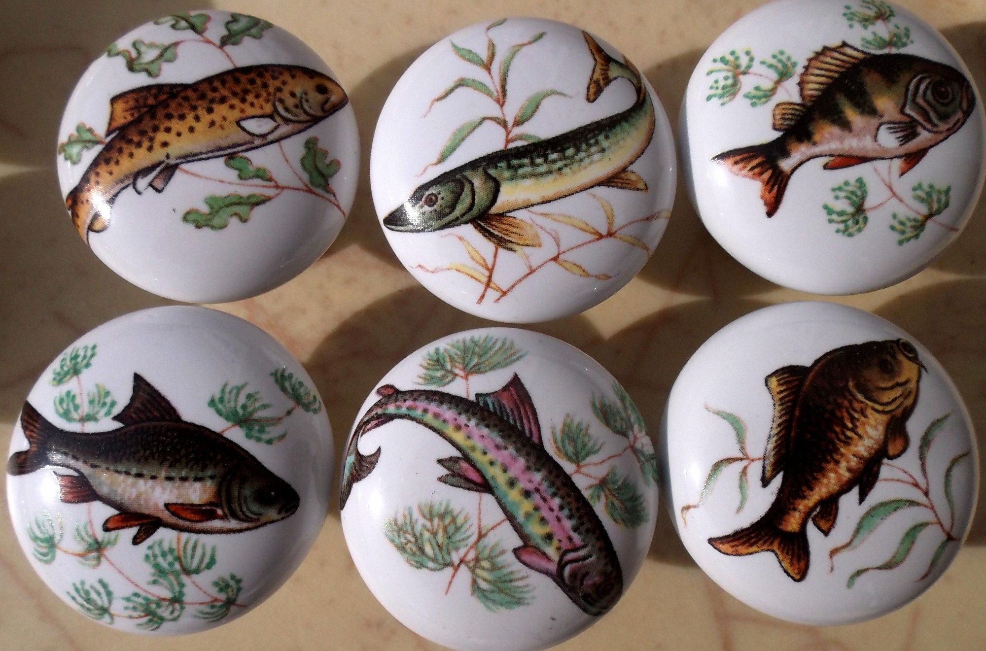  Steelhead Trout Fish - Critters Animals - DECORATIVE Glossy  CERAMIC Cupboard Cabinet PULLS Dresser Drawer KNOBS : Handmade Products