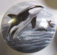 CERAMIC CABINET KNOB SALT WATER  FISH ORCA WHALE WILLIE available at mariansceramics.com