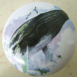 CERAMIC CABINET KNOB SALT WATER  FISH HUMPBACK WHALE available at mariansceramics.com