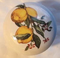 Cabinet Knobs Lemons