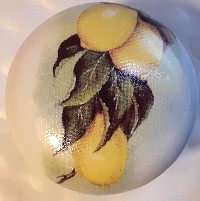 Cabinet Knobs Lemons