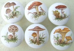 Cabinet knobs Mushrooms