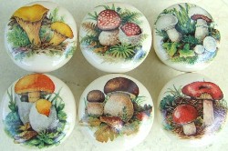 Cabinet knobs Mushrooms