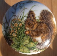 CERAMIC CABINET KNOB KNOBS  WILDLIFE SQUIRRELS SQUIRREL