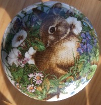 CERAMIC CABINET KNOB KNOBS  WILD BUNNIES BUNNY RABBIT