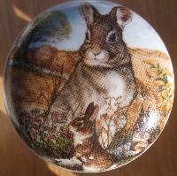 Cabinet Knob Bunnies