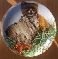 CERAMIC CABINET KNOB KNOBS  WILDLIFE FOX KIT