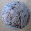 Cabinet Knob Polar Bear