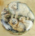 CERAMIC CABINET KNOB KNOBS  WILDLIFE FOX 