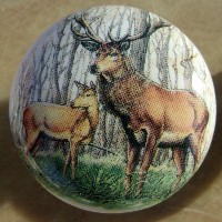 Cabinet knob White tail Deer #10 