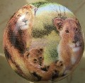 CERAMIC CABINET KNOB KNOBS  WILDLIFE LION