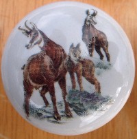 Cabinet Knob Mt Goat