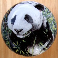 CERAMIC CABINET KNOB KNOBS  WILDLIFE PANDA BEAR